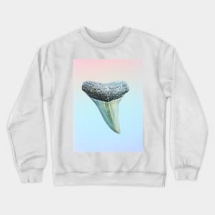 Pink and Blue Ombre Shark Tooth Fossil Print Crewneck Sweatshirt